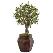 3' Olive Tree in Weave Panel Planter